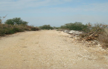 CBI: Upgrading the Khirbet al-Sanasel Road, Banias, Governorate of Tartous 