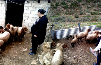 امرأة عاملة
