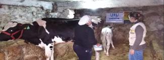 Small Business Grants  Hand in Hand for Life Rural Banias Tartous