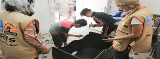 Production of Wood beds for Newborn, Community-Led Initiative